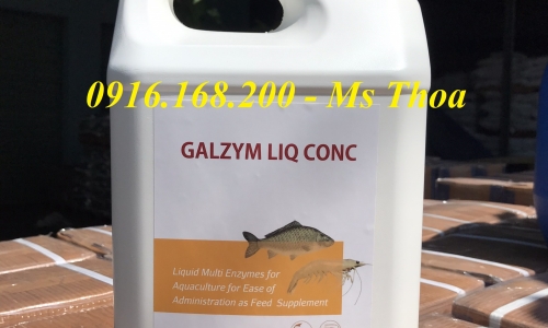 GALZYM LIQ CONC - Enzyme tiêu hóa dạng nước cho tôm cá