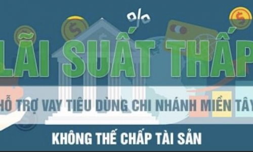 Hỗ trợ tiêu dùng tín chấp